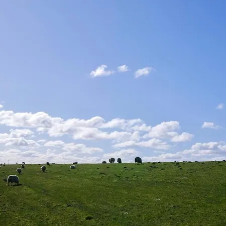 Am Horumertief * Schillig