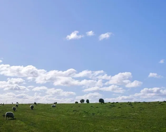 Am Horumertief * Schillig